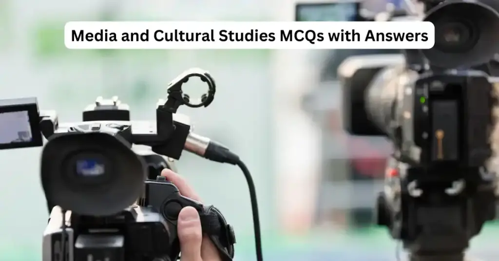 Media and Cultural Studies 2 Media and cultural studies