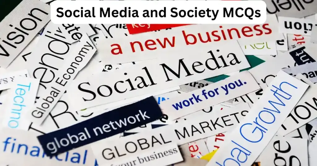 Social Media and Society 6 media and society mcqs
