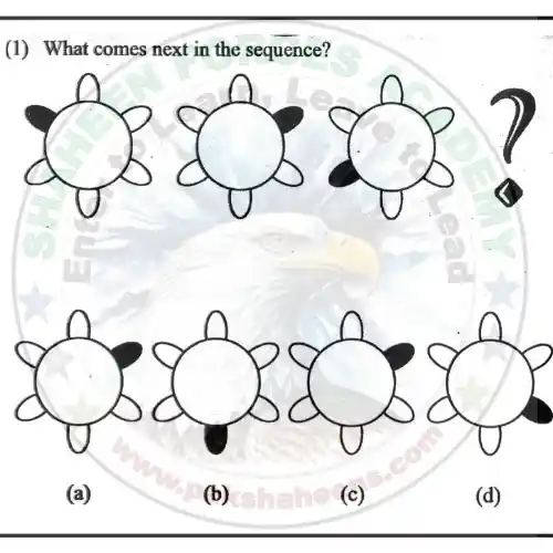 AFNS Non Verbal Test Preparation 9 1 d AFNS Non Verbal Intelligence test